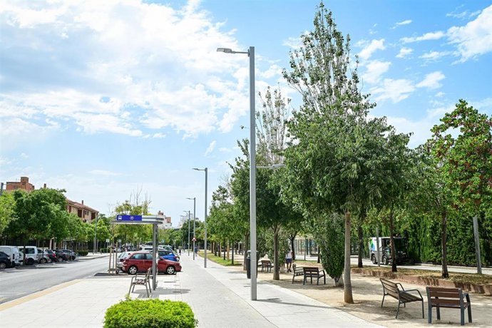 El Ayuntamiento de Palma renueva el alumbrado público de la calle Tomás Luis de Victoria, en el barrio de Son Oliva