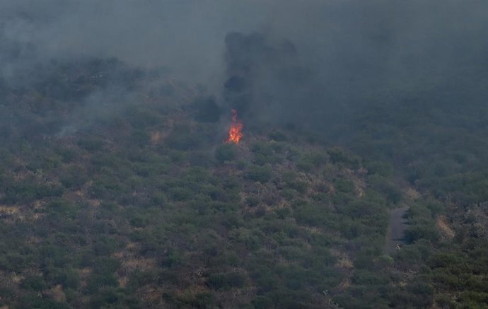 Medios aéreos trabajan en la extinción del fuego, a 28 de julio de 2025, en El Tanque, Tenerife, Canarias (España). Efectivos terrestres y un total de ocho medios aéreos trabajan en el conato de incendio declarado este lunes, 28 de julio, en la zona de Lo