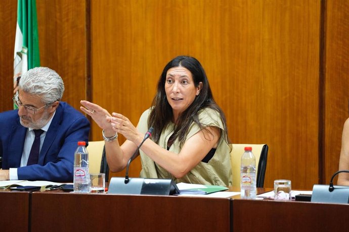La consejera de Inclusión Social, Loles López, en la comisión del 29 de julio de 2025.
