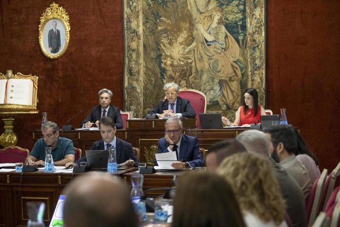 Pleno de la Diputación de Córdoba.