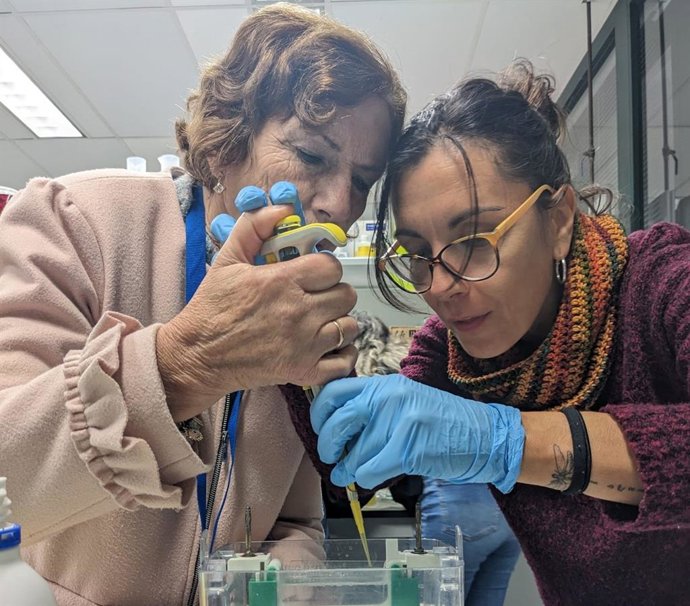 Foto de un taller científico donde una participante utiliza una probeta de laboratorio.