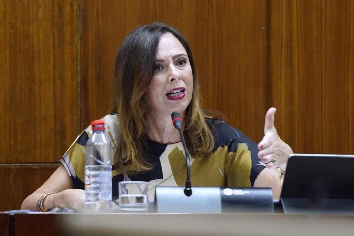 La consejera de Fomento, Articulación del Territorio y Vivienda, Rocío Díaz, en Comisión parlamentaria.