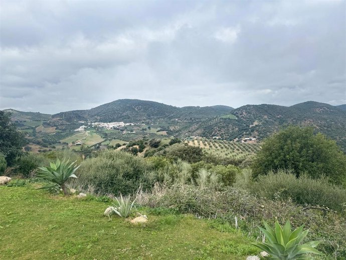 Parque Natural Sierra de Grazalema.
