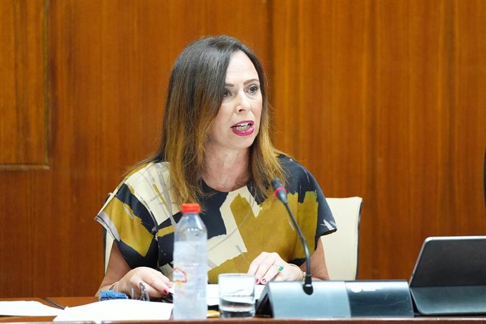 La consejera de Fomento, Rocío Díaz, en la comisión parlamentaria de este martes.