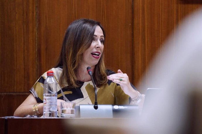 La consejera de Fomento, Articulación del Territorio y Vivienda, Rocío Díaz, en Comisión parlamentaria.