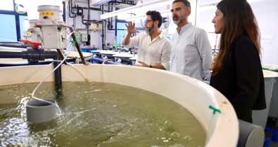 Es Andalucía - Cádiz