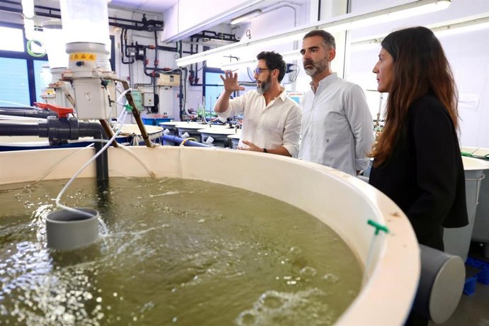 El consejero de Agricultura, Pesca, Agua y Desarrollo Rural, Ramón Fernández-Pacheco, en su visita al Centro Tecnológico de Acuicultura de Andalucía en El Puerto de Santa María.