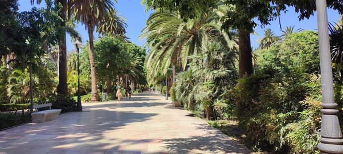 Archivo - Paseo del parque en una imagen de archivo 