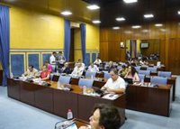 PP-A rechaza con la abstención de Vox la PNL del PSOE que pedía un informe interno sobre la retribución de Paradela