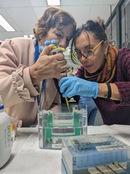 Archivo - Personal de la iniciativa desarrollada por el Centro Andaluz de Biología del Desarrollo.