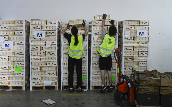 La sexta campaña 'Ningún hogar sin alimentos' recauda más de 46.000 euros en Aragón