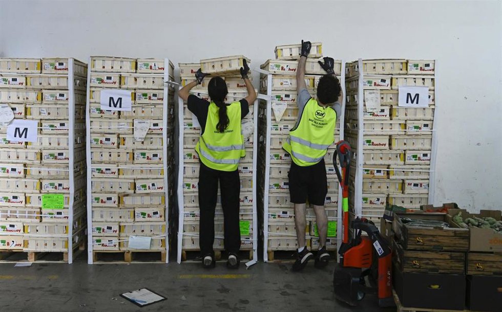 La sexta campaña 'Ningún hogar sin alimentos' recauda más de 46.000 euros en Aragón