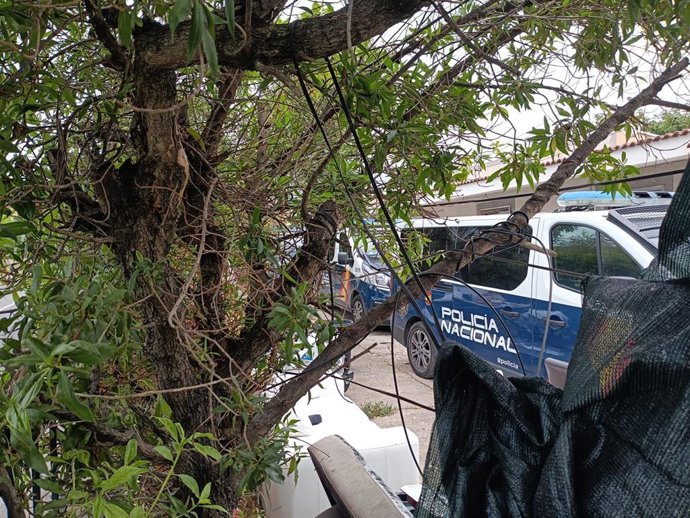 Furgones de la Policía Nacional en una de las viviendas que se iba a desalojar.