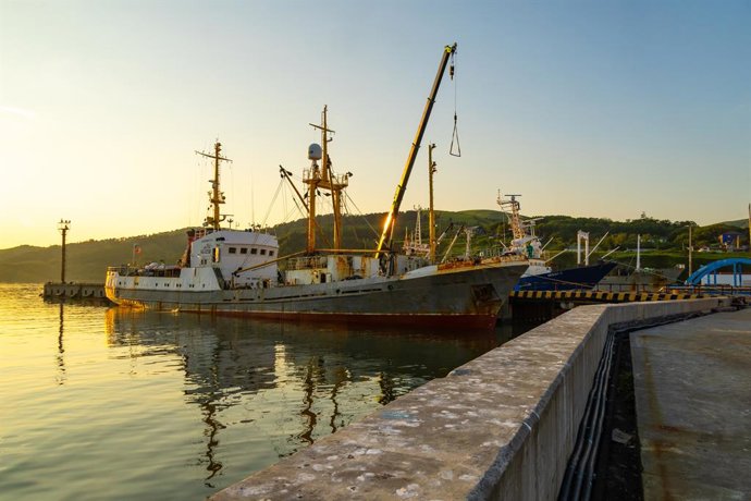 RÚSSIA, REGIÃO DE SAKHALIN - 24 DE JULHO DE 2025: O navio de transporte de peixes Luchistyy é visto no porto de Krabozavodskoye, no vilarejo de Krabozavodskoye, na ilha Kuril de Shikotan