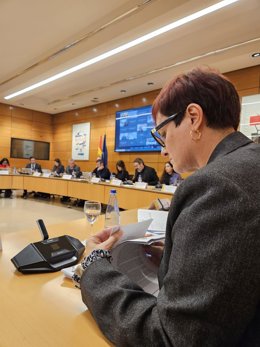 Archivo - La consejera canaria de Bienestar Social, Igualdad, Juventud, Infancia y Familias, Candelaria Delgado, en sectorial de Infancia