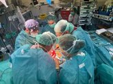 Foto: Ingenieros desarrollan un espaciador 3D a medida para la reconstrucción del húmero en un paciente oncológico pediátrico