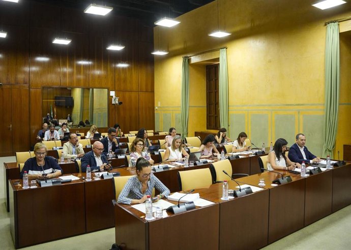 Imagen de este martes de la Comisión de Igualdad del Parlamento de Andalucía, donde se ha votado el dictamen del Grupo de Trabajo.