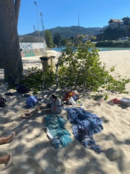 Ferida unha muller após caerlle unha rama encima en Samil.