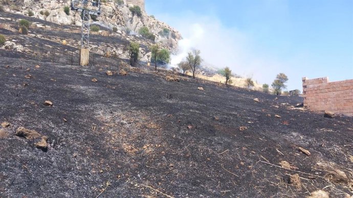 Vista del terreno calcinado en el paraje de Río Grande, en Berja (Almería).