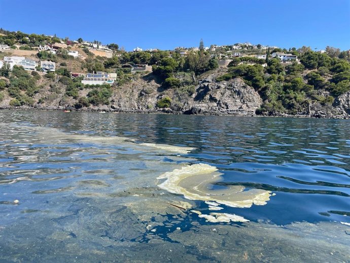 Mancha de suciedad en el agua.