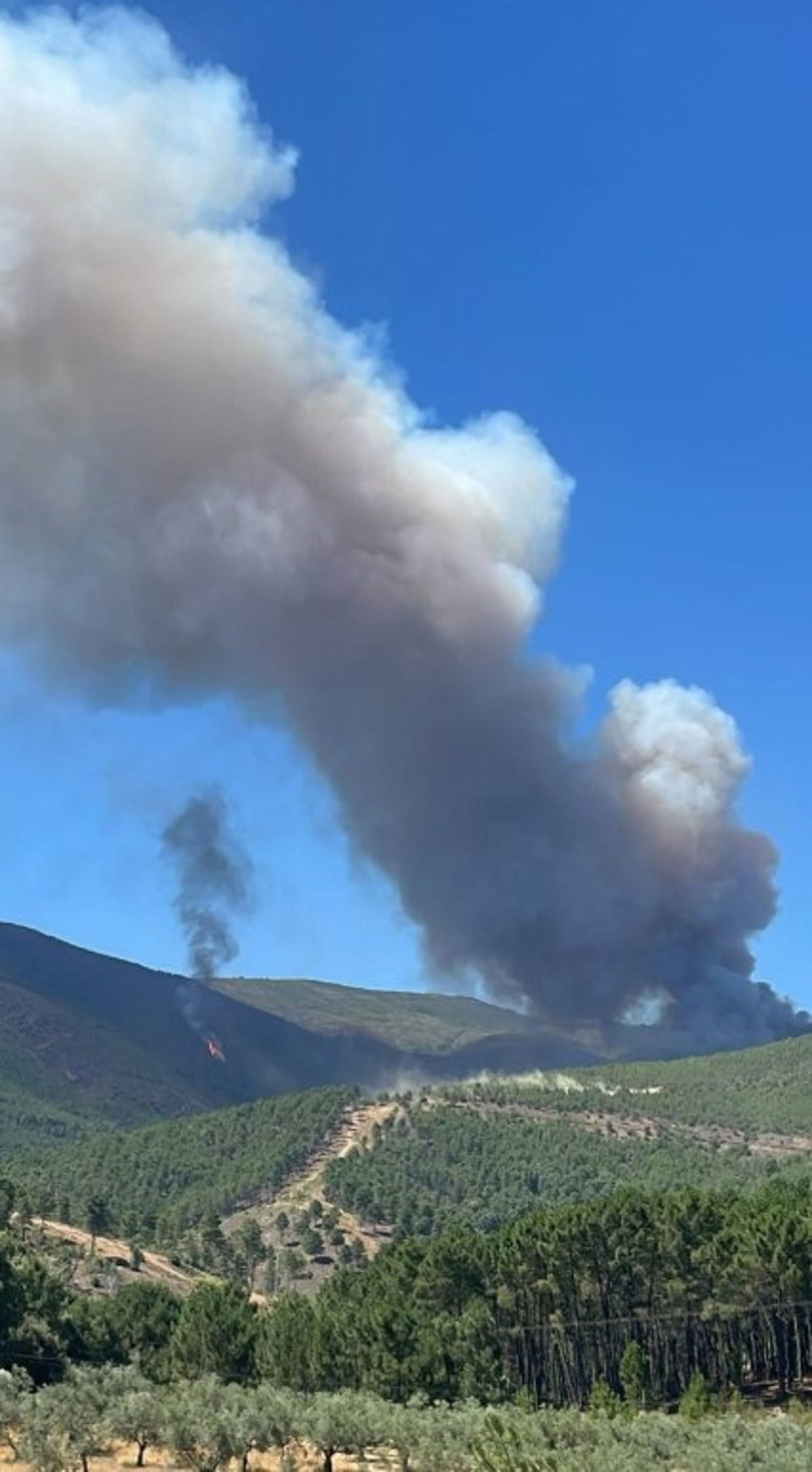 El Plan Infoex activa el nivel 2 en un incendio en Caminomorisco (Cáceres)