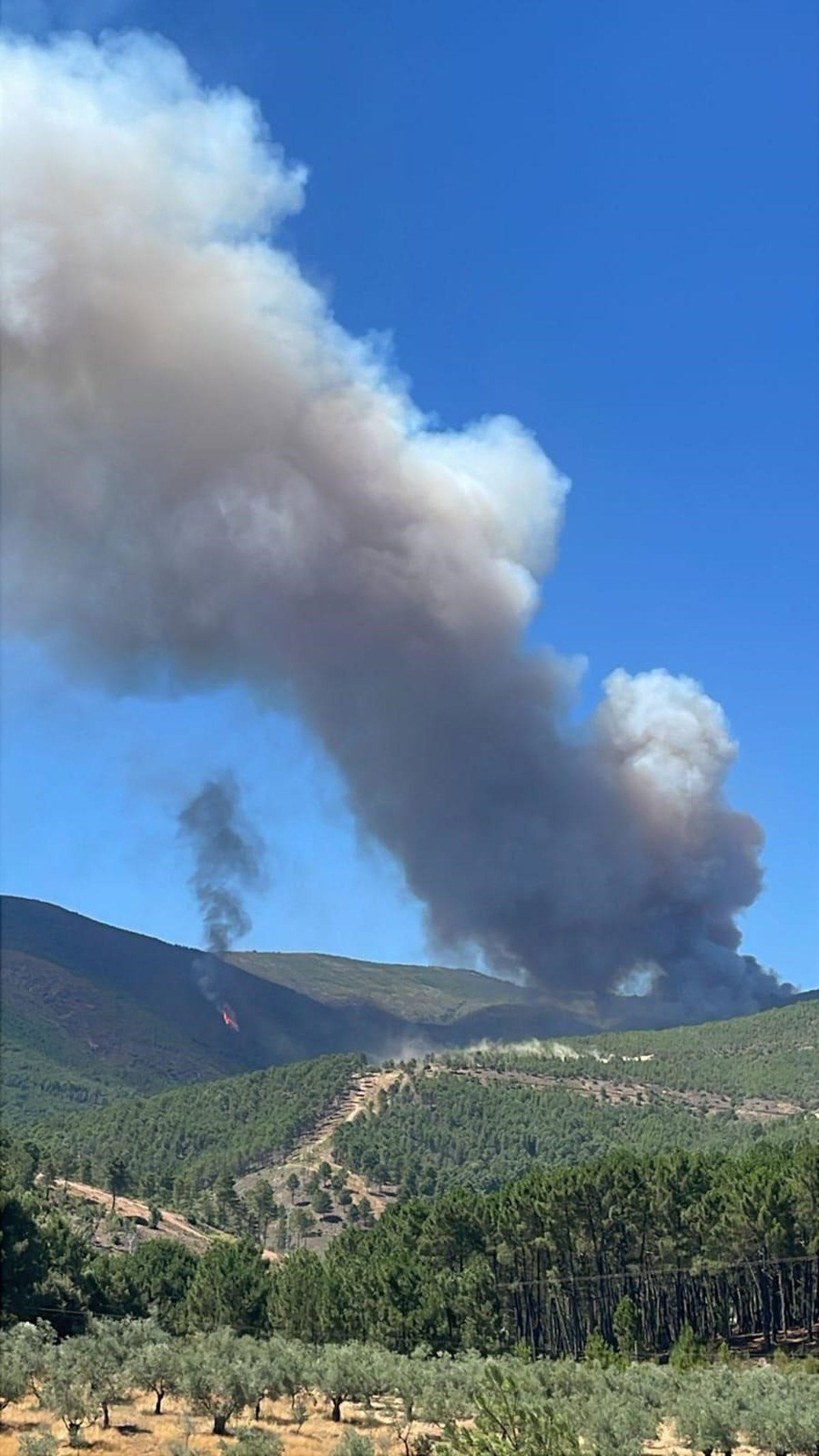 La Junta eleva el Plan Infocaex a situación operativa 2 en el incendio forestal en Caminomorisco