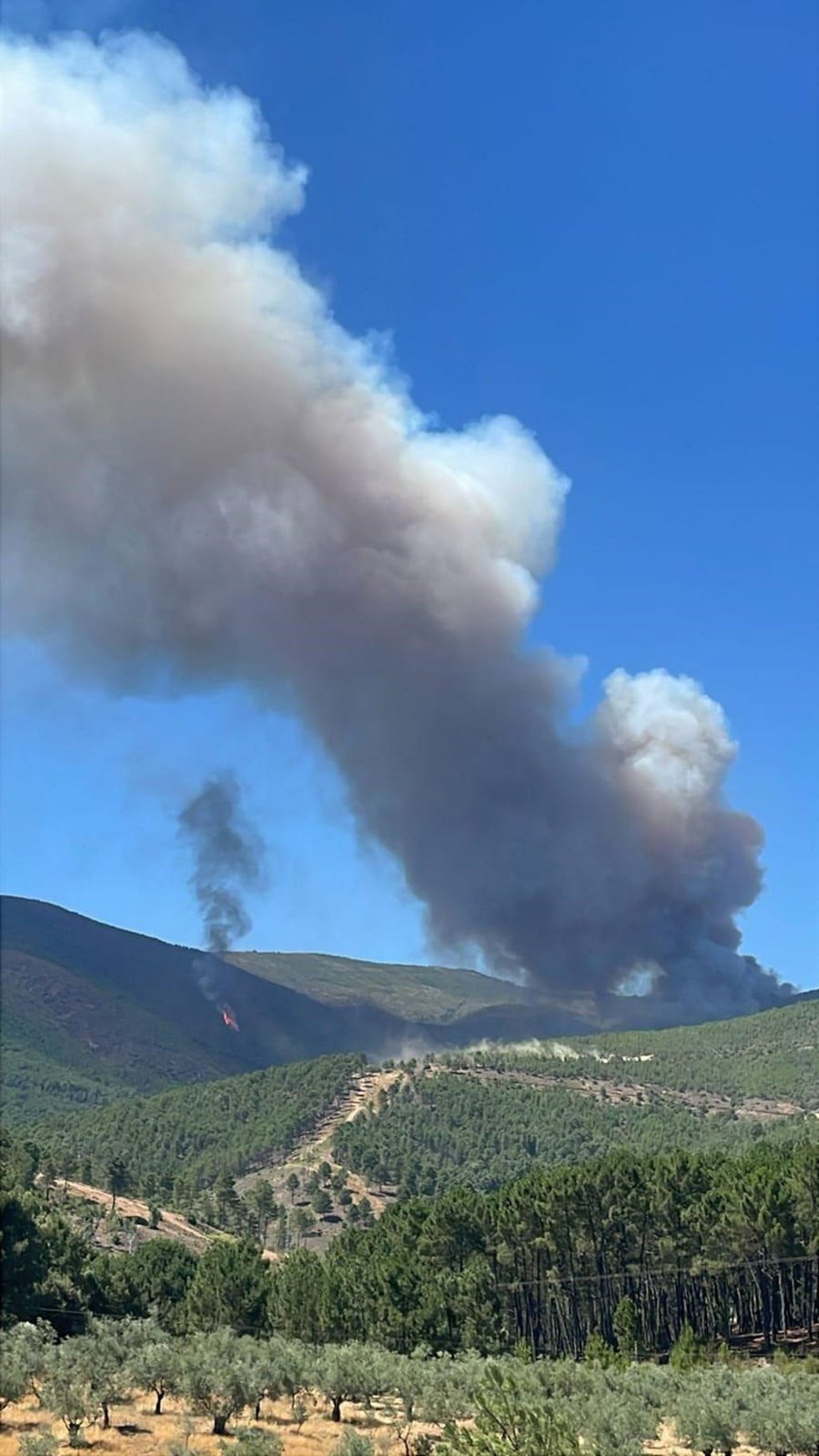 Incendio en Caminomorisco (Cáceres)