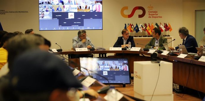 La Conferencia Sectorial del Deporte acuerda elaborar un Plan Director de Deporte Inclusivo para 2025-28