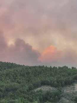 Incendio en Caminomorisco