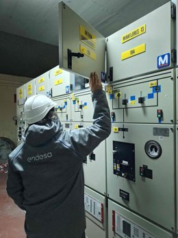 Técnico de Endesa.
