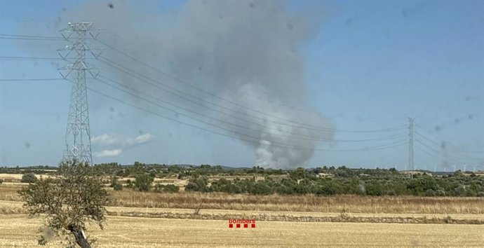Imatge del fum de l'incendi a Fulleda (Girona)