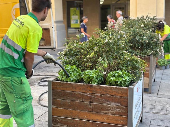 Se van a colocar un total de 170 plantas de albahaca en distintas ubicaciones del centro urbano.