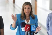 El PSOE-A apuesta por "canalizar el cabreo" de los andaluces con la sanidad "votando para quitar" a Moreno