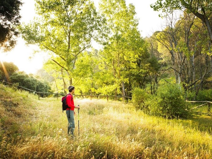 Turimo activo en una imagen de archivo