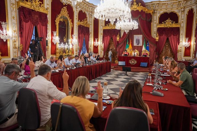 Pleno de la Diputación.