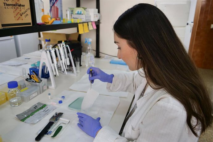 Trabajos de investigación en la UMA.