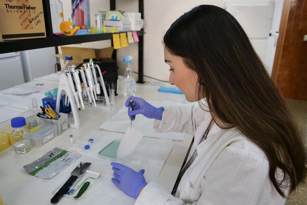 Trabajos de investigación en la UMA.