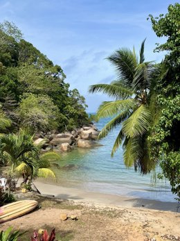 Seychelles en familia: Un paraíso descalzo para exploradores de todas las edades
