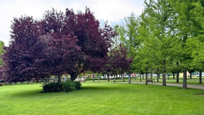 Imagen del parque de La Granja, uno de los parques leoneses aque ha renovado la distinión Green Flag Awards.