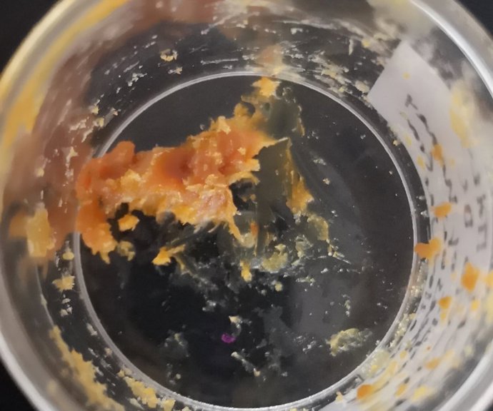 Restos de miel en una vasija de hace 2.500 años
