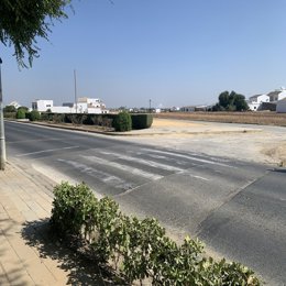 Archivo - Cruce  de la A-407 frente al CEIP Santo Tomás en el municipio de Fuentes de Andalucía.