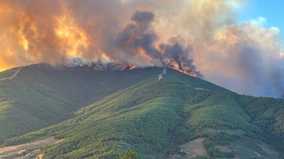 El fuego en Las Hurdes (Cáceres) calcina ya 2.500 hectáreas y más de 500 efectivos trabajan en Cuevas del Valle (Ávila)