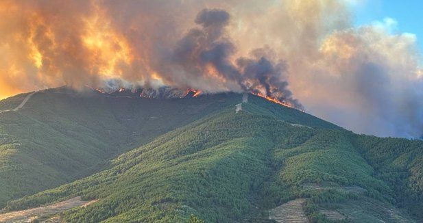 Medio Ambiente