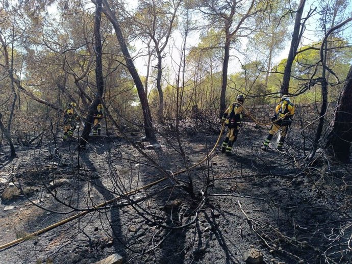 Bomberos actúan en la zona del incendio declarado en Sant Antoni.
