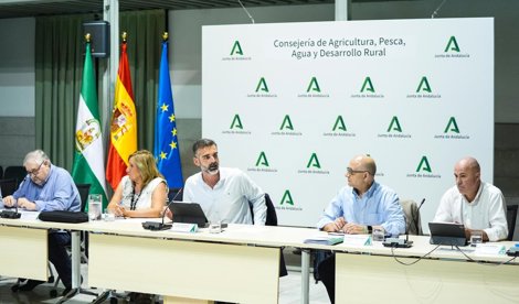 Es Andalucía - Sevilla