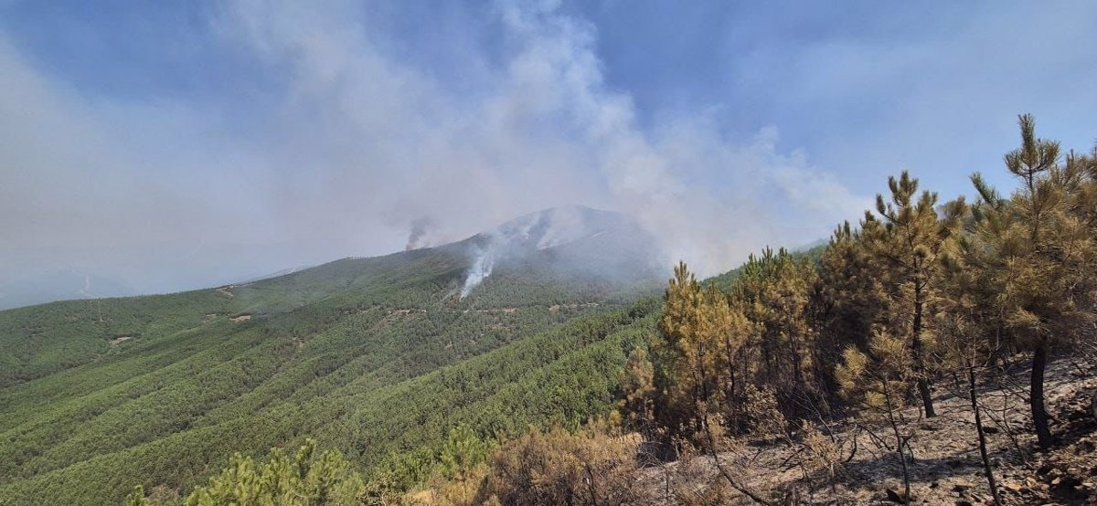 Los efectivos trabajan en controlar varios flancos del incendio en Las Hurdes aunque preocupa la zona de Avellanar
