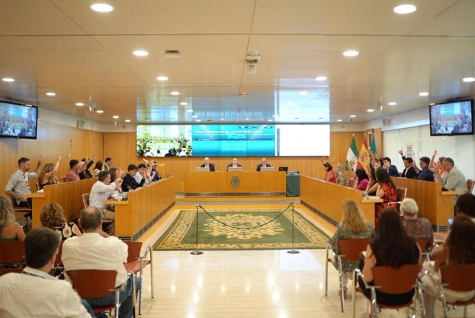 Pleno de Diputación de Sevilla.