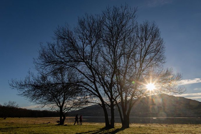 Archivo - Un árbol sin hojas en el embalse de Santilla, a 21 de diciembre de 2023, en Manzanares el Real, Madrid (España). El inicio del invierno en el hemisferio norte está definido por el instante en que la Tierra pasa por el punto de su órbita desde el
