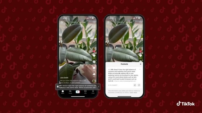 Archivo - Función de Notas al pie de TikTok.