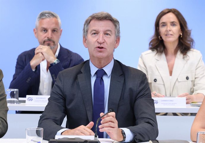 El presidente del Partido Popular, Alberto Núñez Feijóo, preside la reunión del Comité Ejecutivo Nacional del partido, a 28 de julio de 2025, en Madrid (España).